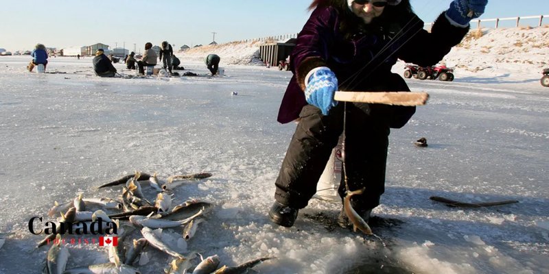 Ice fishing live - Experience the Thrill of Ice Fishing at Live Casinos in the UK
