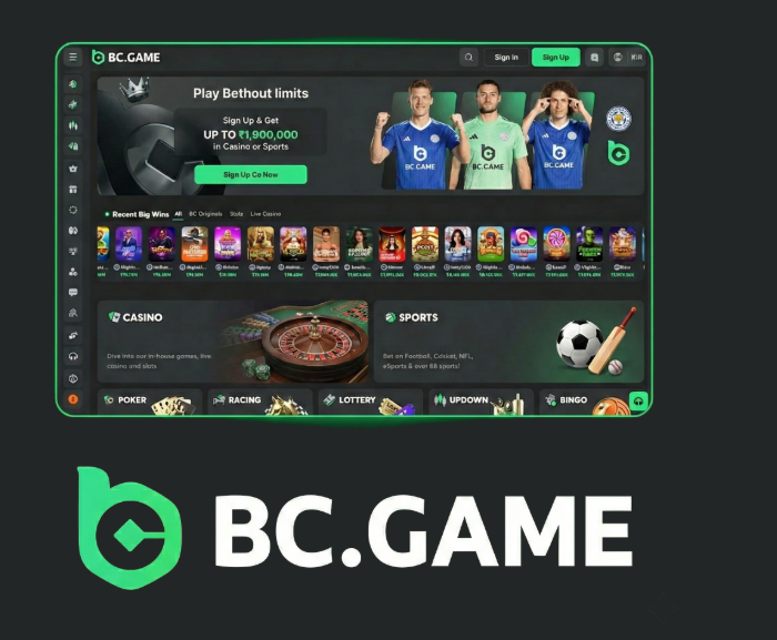 Experience the Thrills of JB Casino Platform